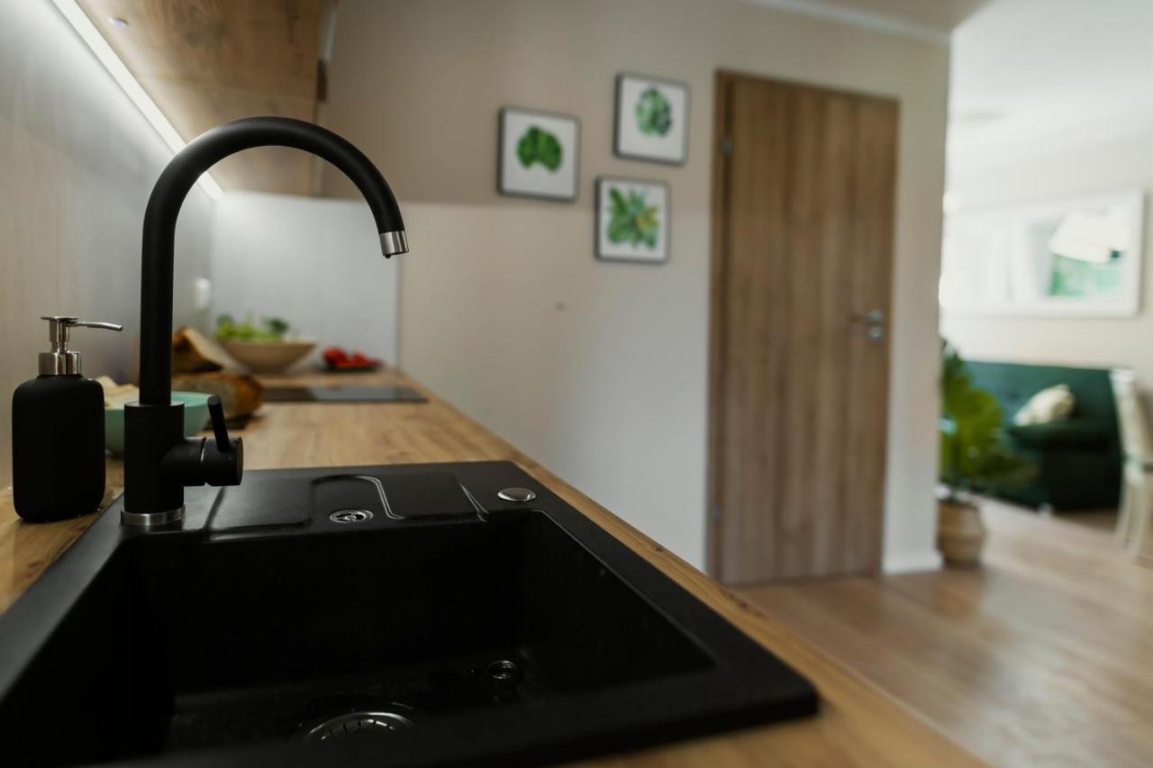 Apartamenty Willove Wzgorze Duszniki Zdrój Εξωτερικό φωτογραφία