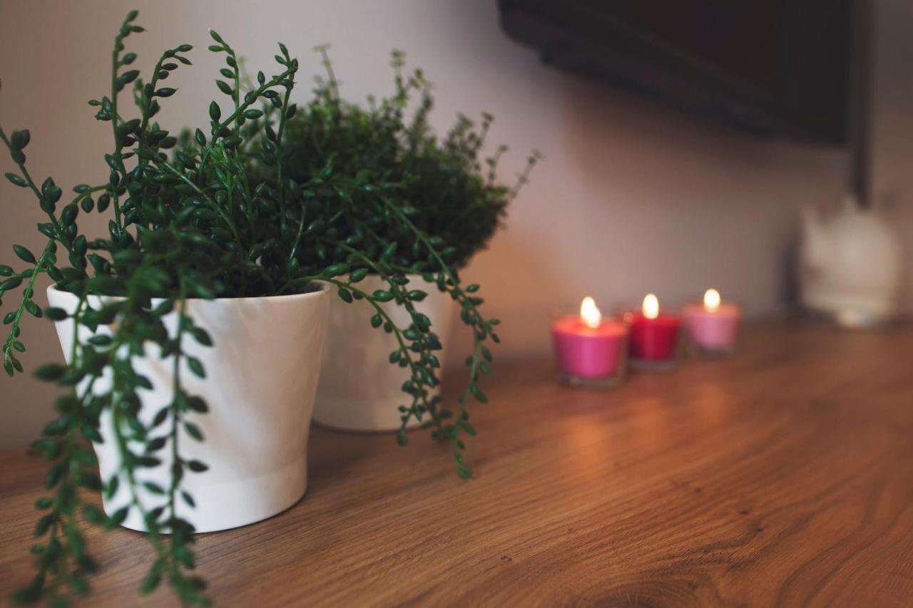 Apartamenty Willove Wzgorze Duszniki Zdrój Εξωτερικό φωτογραφία
